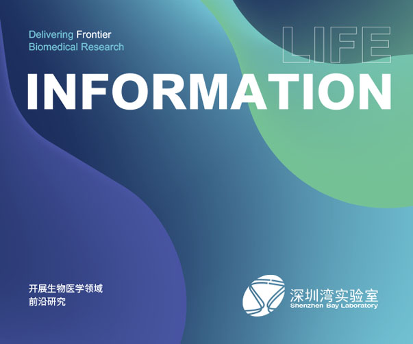 生物親和設(shè)計與品牌塑造：上海Logo設(shè)計公司如何用視覺語言講述品牌故事